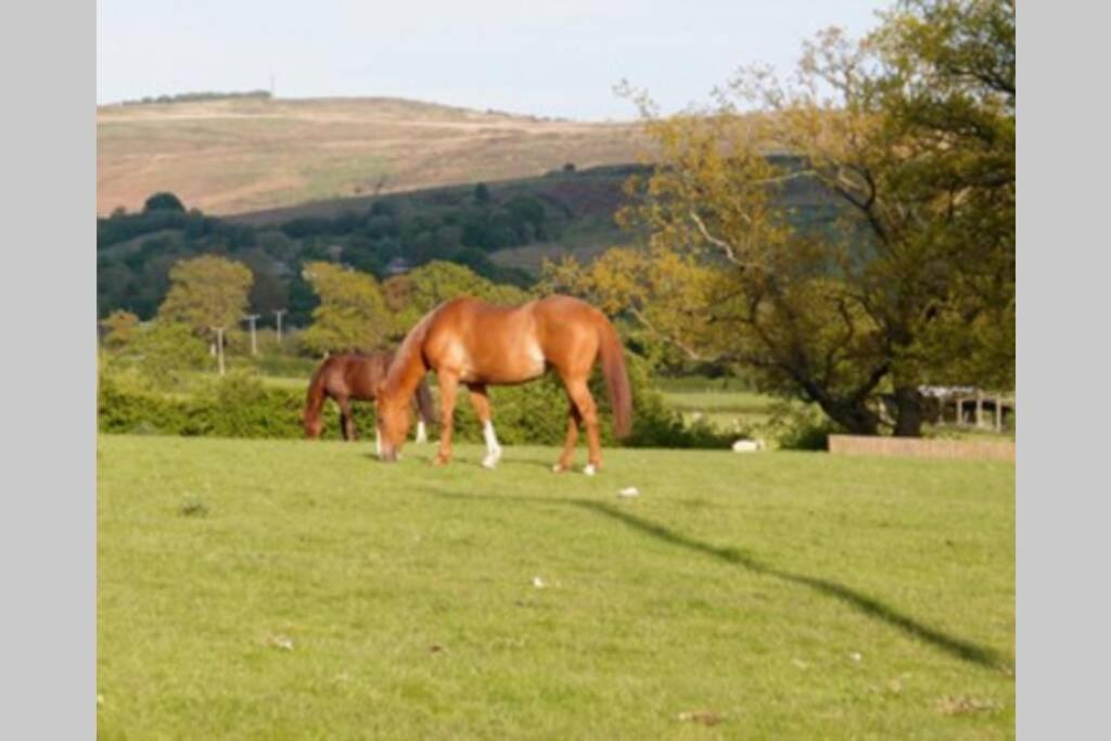 Upper Heath Farm - Stable Cottage Ludlow Крейвен-Армс Екстер'єр фото